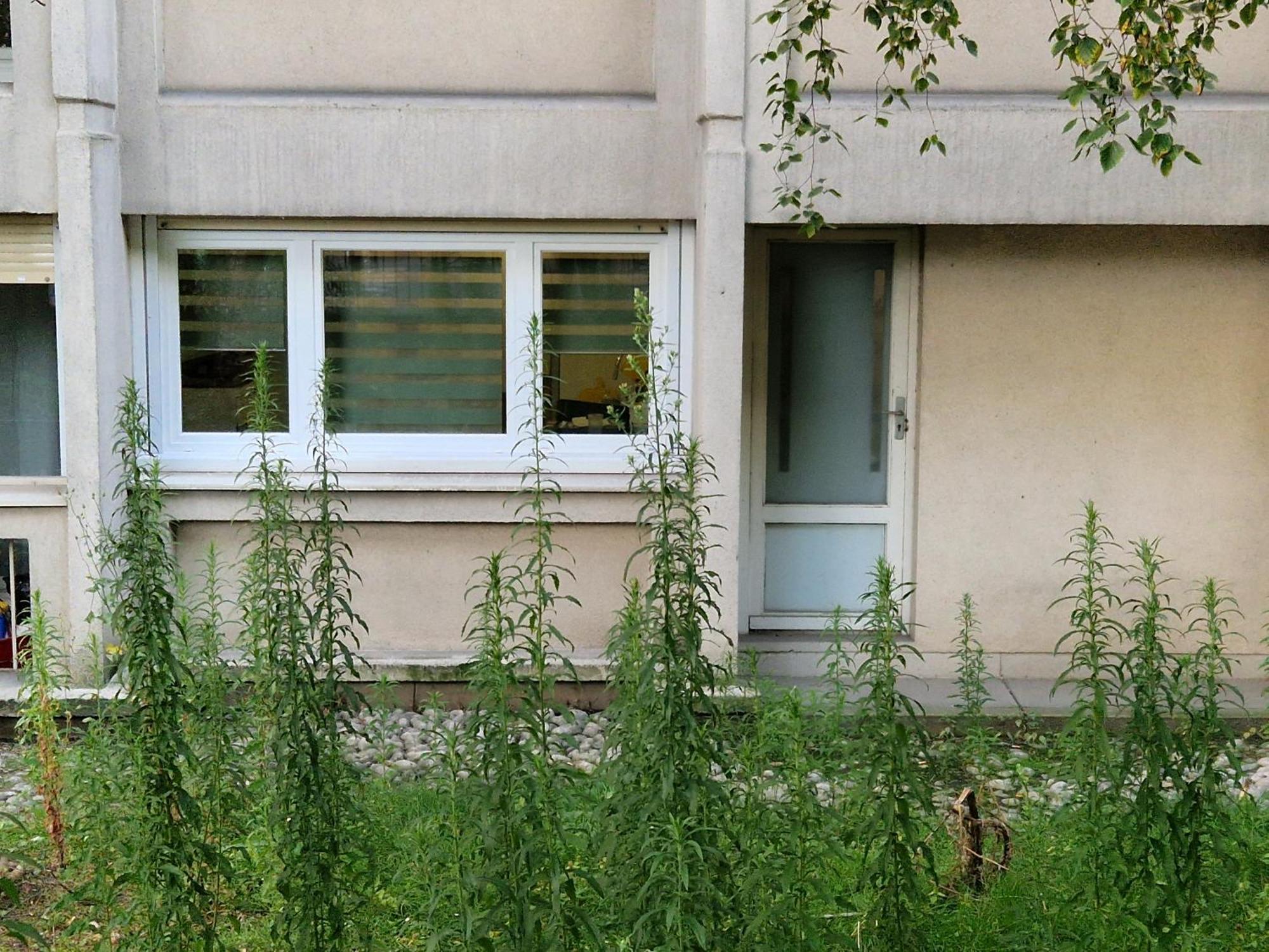 Comfortable Rooms For Working - Levallois エクステリア 写真